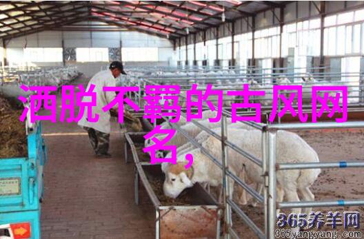 心灵修炼取个修心的名字之旅