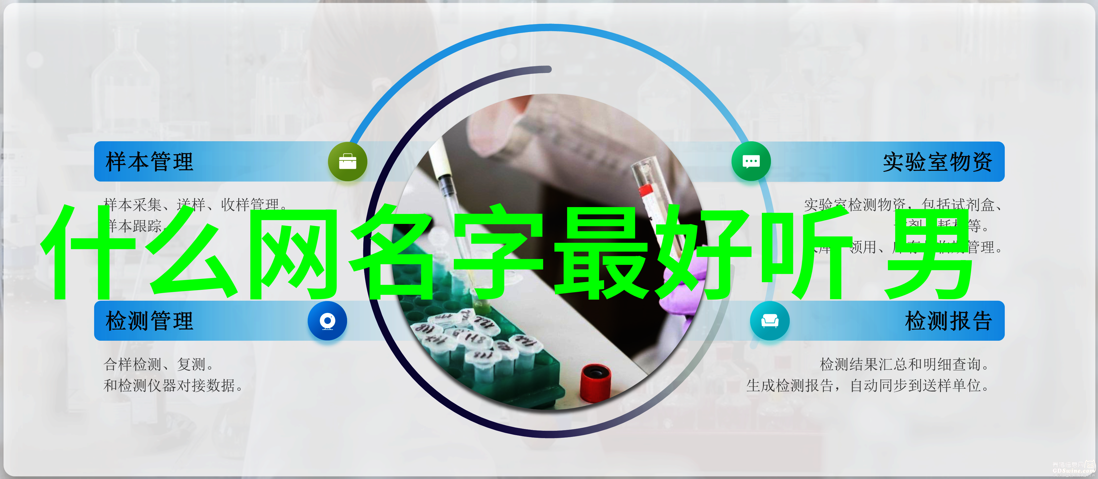 清雅淡然探索古风网名的艺术与魅力