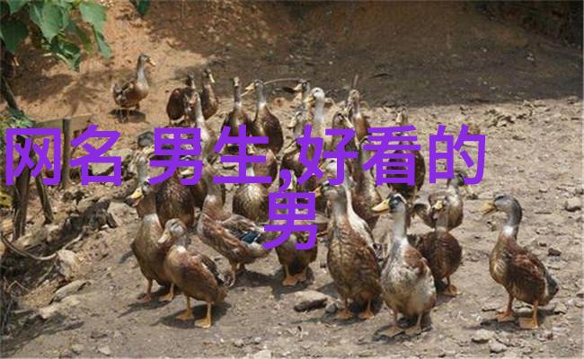 探秘小众情侣网名背后的故事与寓意