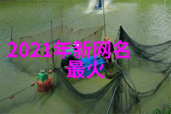 微信名爆款2023年最流行的网名推荐