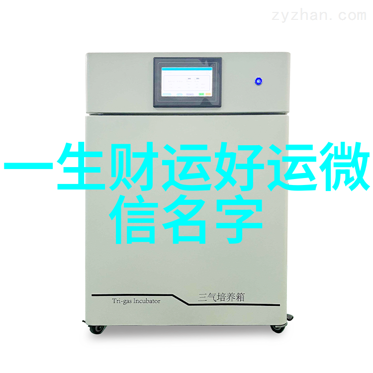 英文网名背后的故事揭秘那些特殊含义的名字