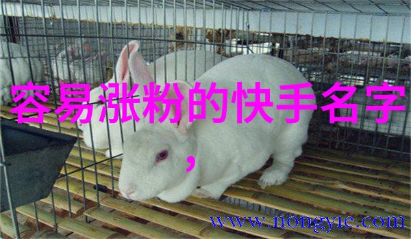 莫斯科行动电影苏联间谍刺杀