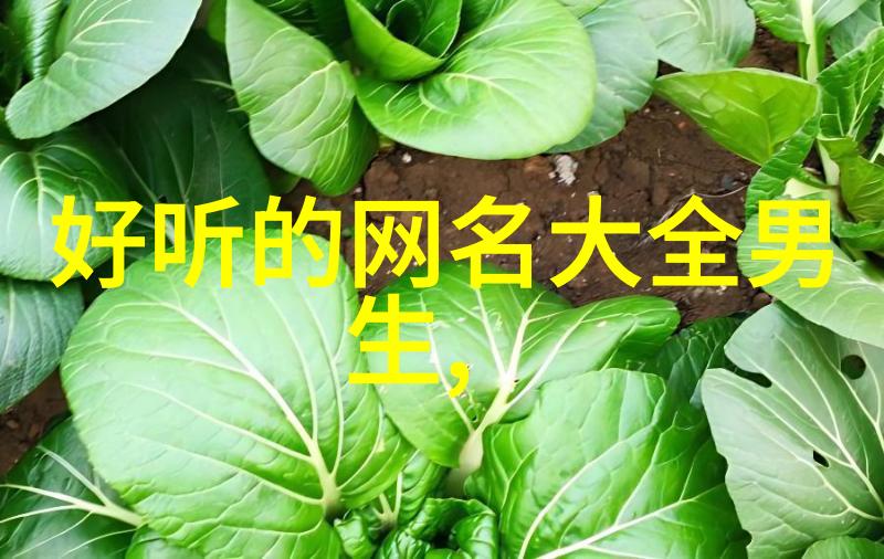 2020年最好听的网名霸气超拽一组震撼心灵的符文页名字五个字id文采飞扬