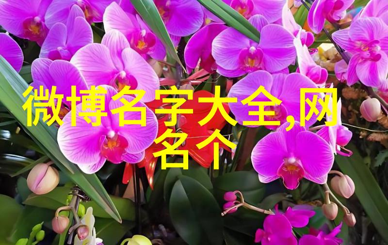 网络恋情起源一段关于很甜很撩网名女生的爱情故事