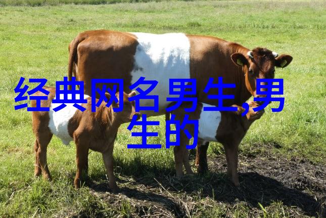 仙气飘飘网络世界中的奇幻身份