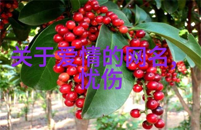 王妃的阴谋