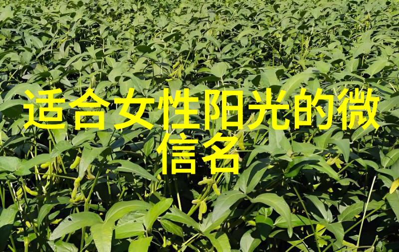 网名之美探索经典女生网名背后的故事