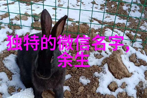 繁体字带符号网名奇迹字海之旅