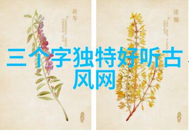 情侣网名之谜深藏的情感与智慧