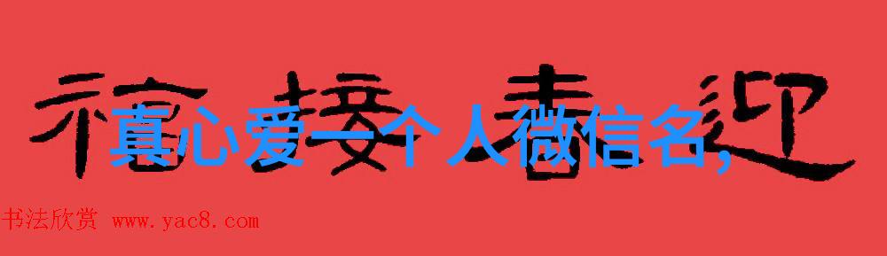 两个人一前一后攻击叙述双人对抗战役