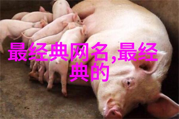 男生qq网名我是QQ上的黑夜里的流星