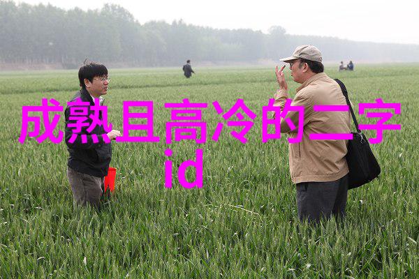 记忆之刃.id的迷离印记