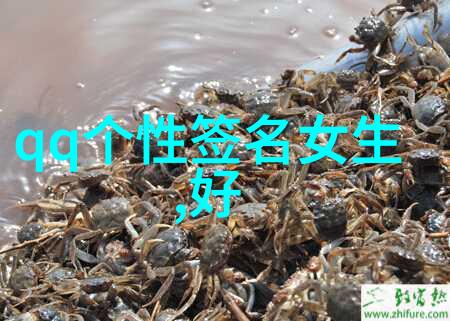逆袭爱恋从网络角落到心间之旅