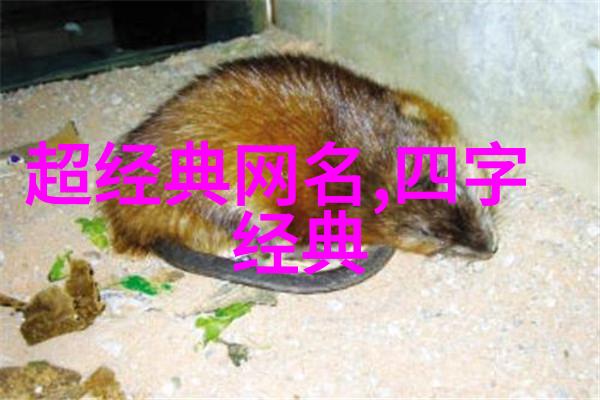 70后妈妈级别的网名微信文艺范站在幸福肩上你觉得这不就是小众的二字id吗