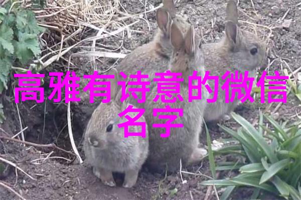 网名大全伤感我的网名故事从天涯共此时到孤影独行