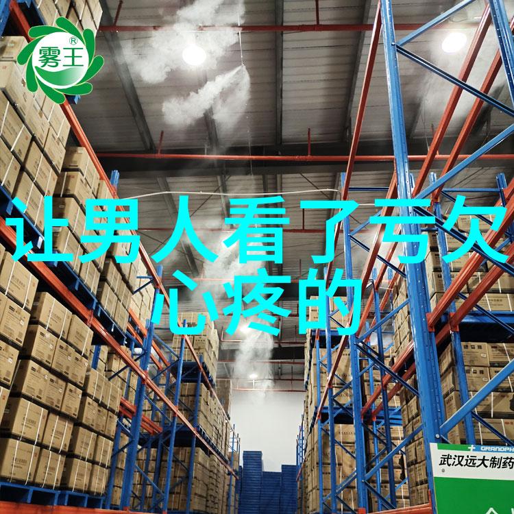 幻境启示寻踪神秘游戏世界