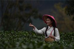 好听的古风网名