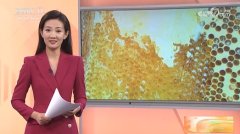 最好听的女生网名 - 精选唯美独特个