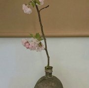 q友乐园女生网名英文艾利枫特