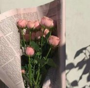 姐妹网名霸气超拽一言知花落